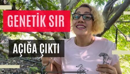 Kilo Vermek ve Genetik Faktörler: Genetik Yatkınlığın Kilo Verme Üzerindeki Rolü