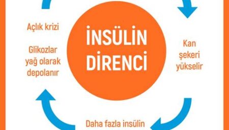 Spor ve Diyabet Yönetimi: Düzenli Egzersizin Kan Şekerini Kontrol Altında Tutma ve Diyabet Yönetimine Katkısı